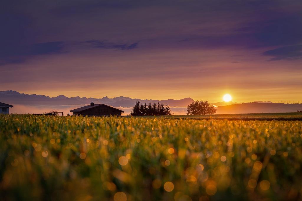 Cozy budget-friendly cabin accommodation for weekend getaway