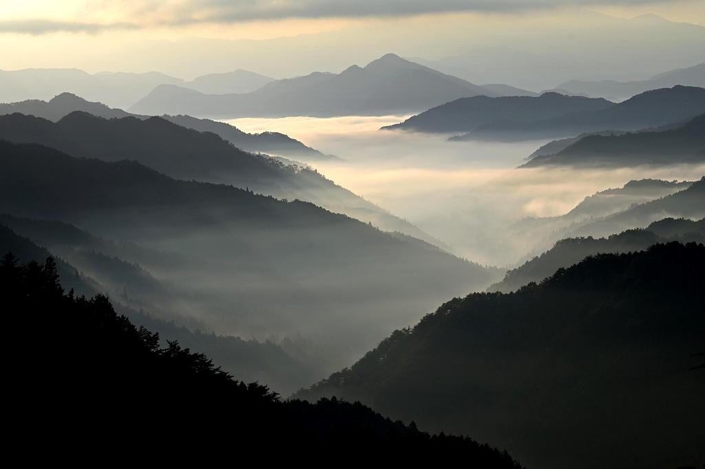 Network of local travel experts providing authentic recommendations and hidden gems