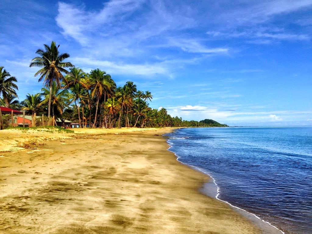 Tropical beach with palm trees and clear blue water